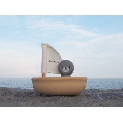 Otarie et son bateau